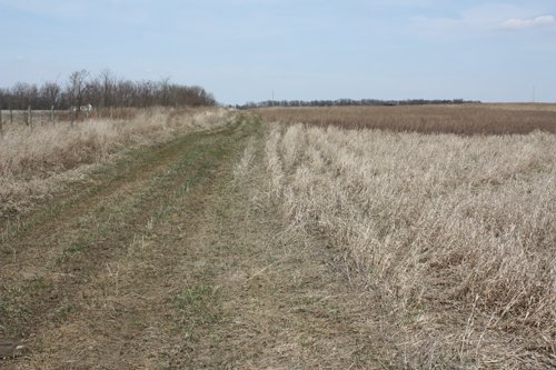 Property photo 5 - 194.67 Acres Offered in 2 Tracts